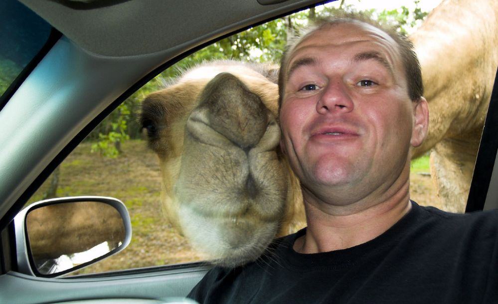 selfi_na_denot