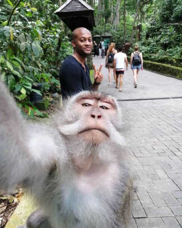 selfi-na-denot