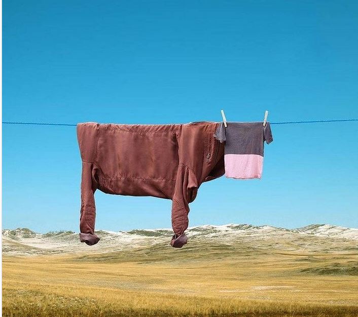 foto-na-denot